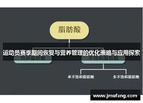 运动员赛季期间恢复与营养管理的优化策略与应用探索